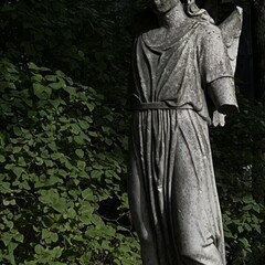 История магии