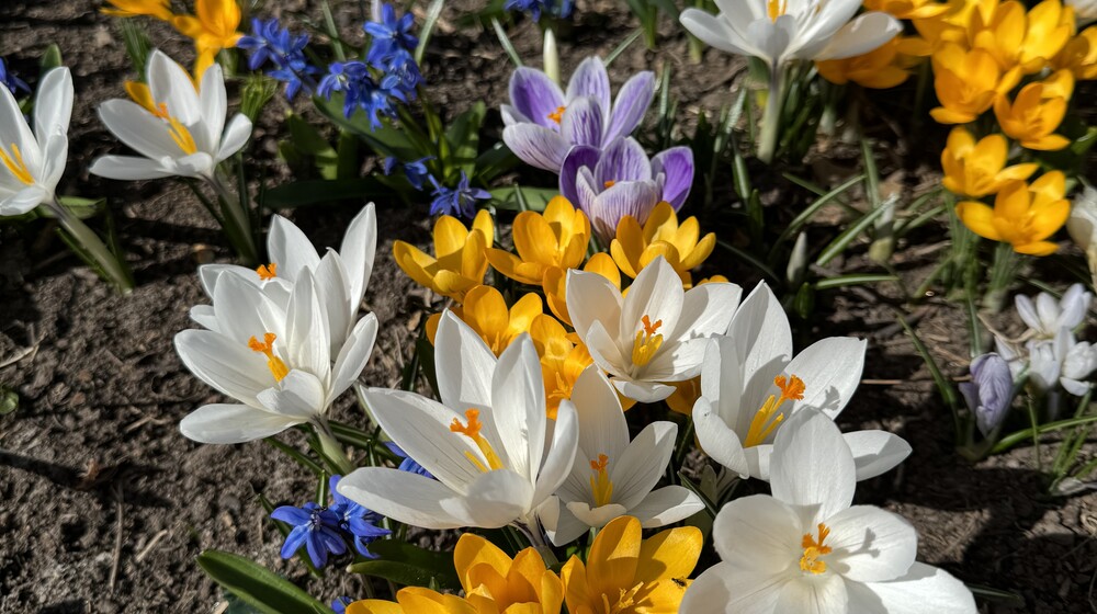 Про здоровье 