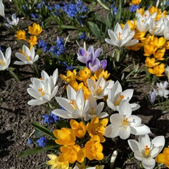 Про здоровье 