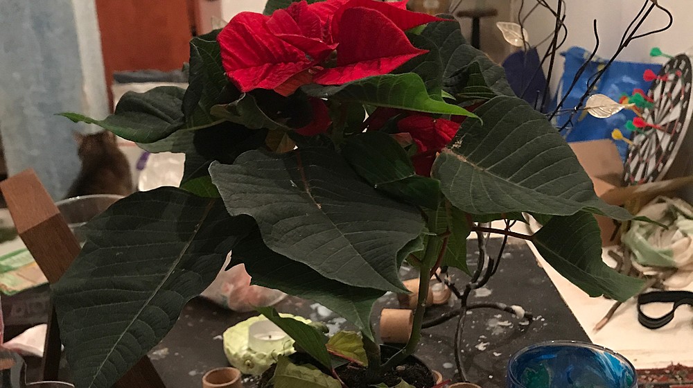 Рождественские рассказы