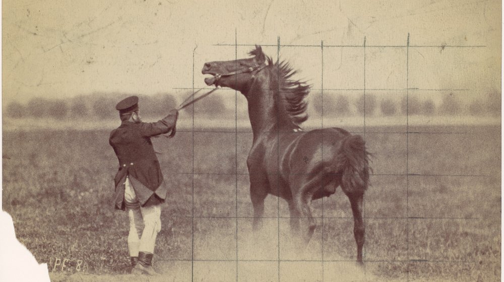 Исследования культуры. ВШЭ