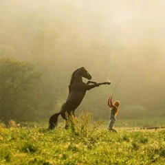 Школа верховой езды