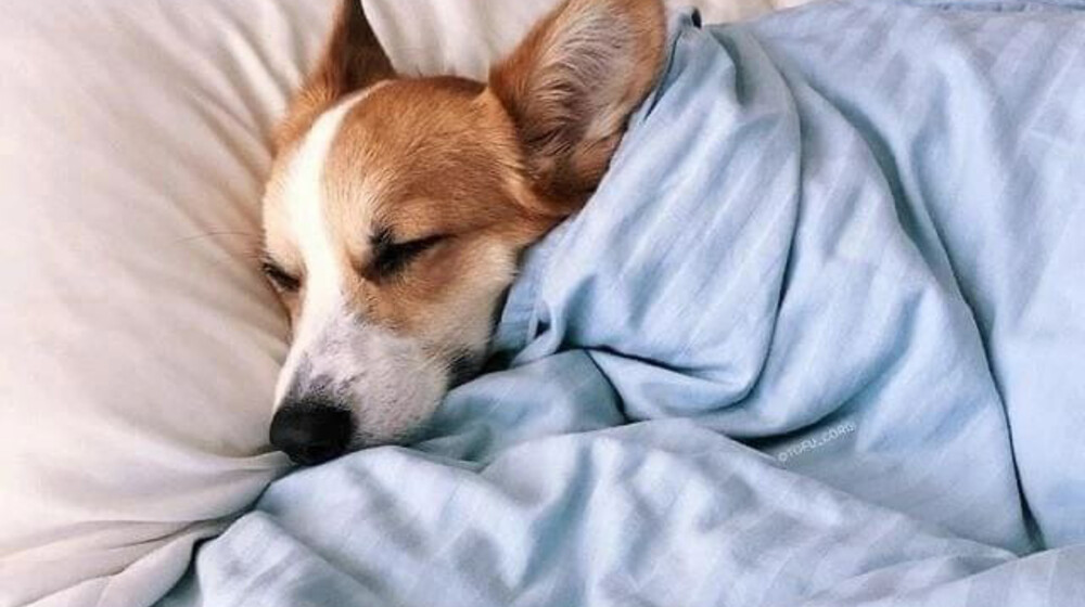 Мой вкус разнообразие