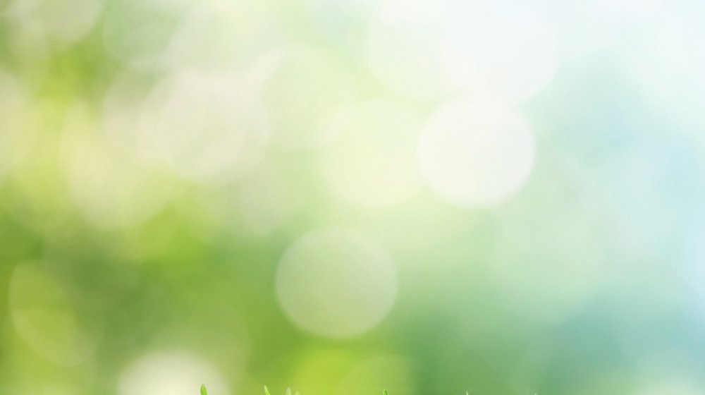 Поэзия. Лирика.