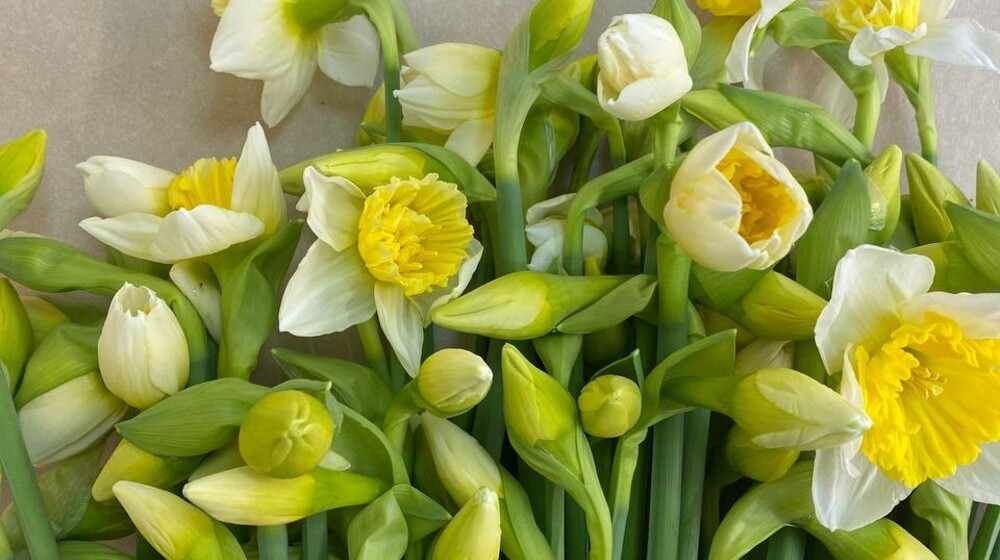 Моя книжная полка📚