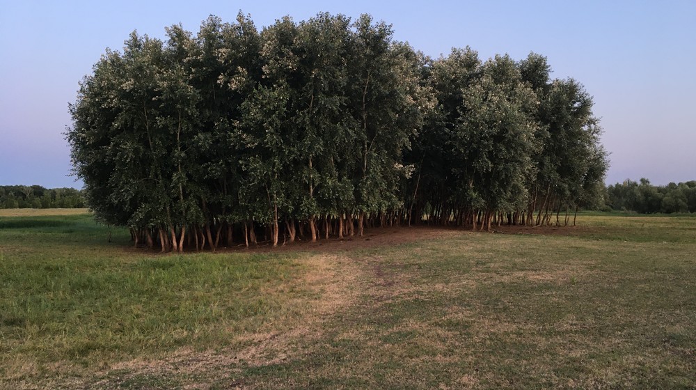 Рассказы и повести 