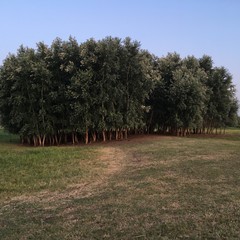 Рассказы и повести 