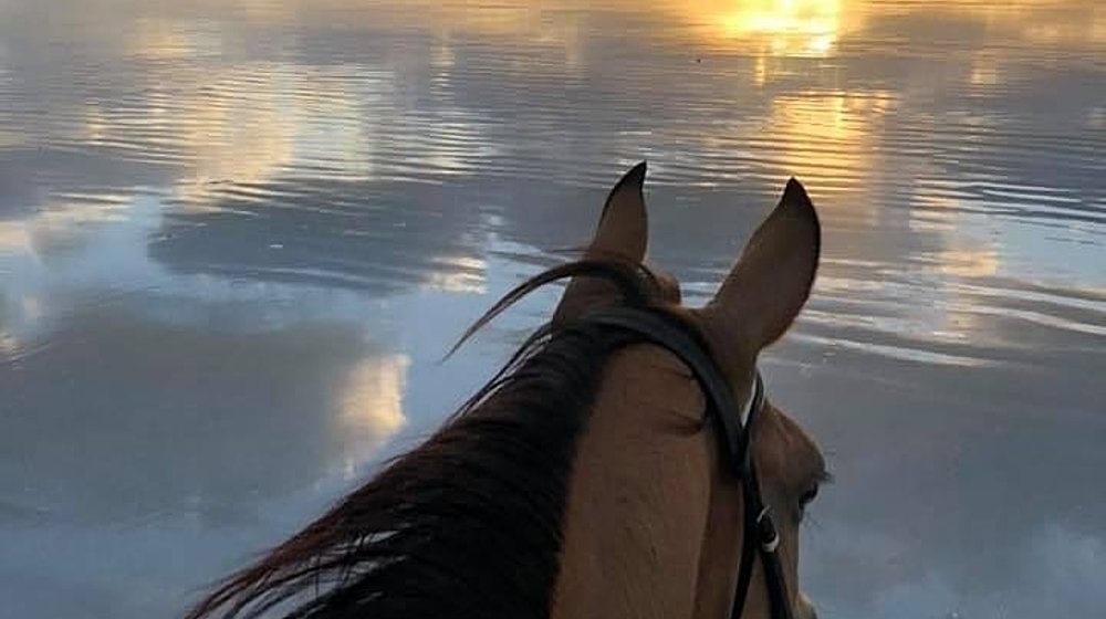 Қазақша кітаптар