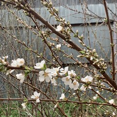 Книги на весну 🌱