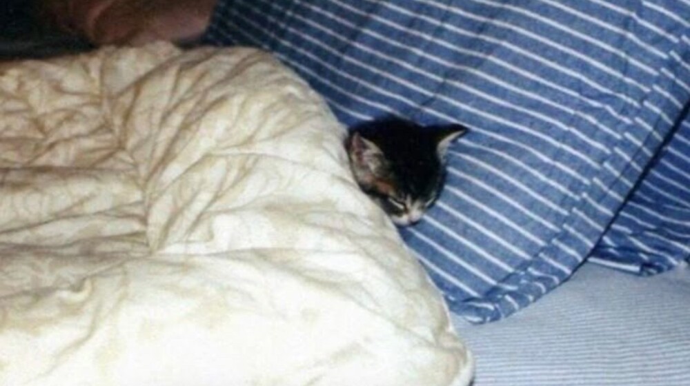 Сомнология 💤