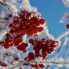 Читать и перечитывать