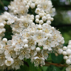 inspiria интересные книги