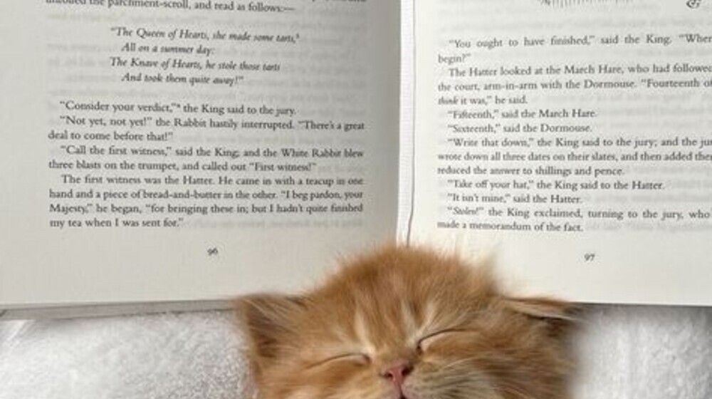 Современная проза