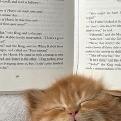 Современная проза