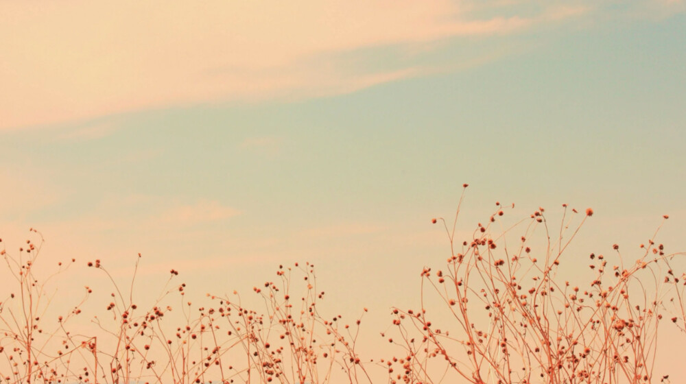 Сверхчувствительность