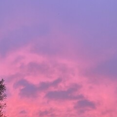 Развитие человечества 