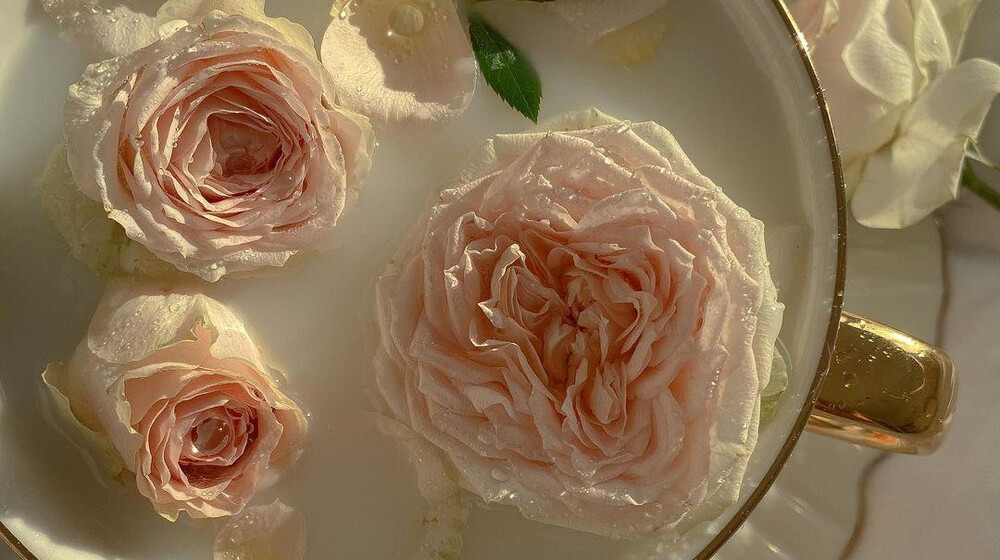 МИФ "Культура".