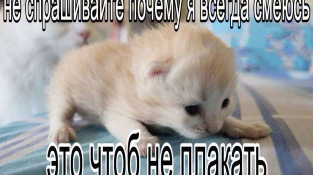 Читаю в апреле