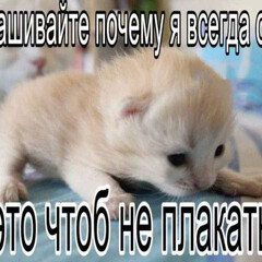 Читаю в апреле