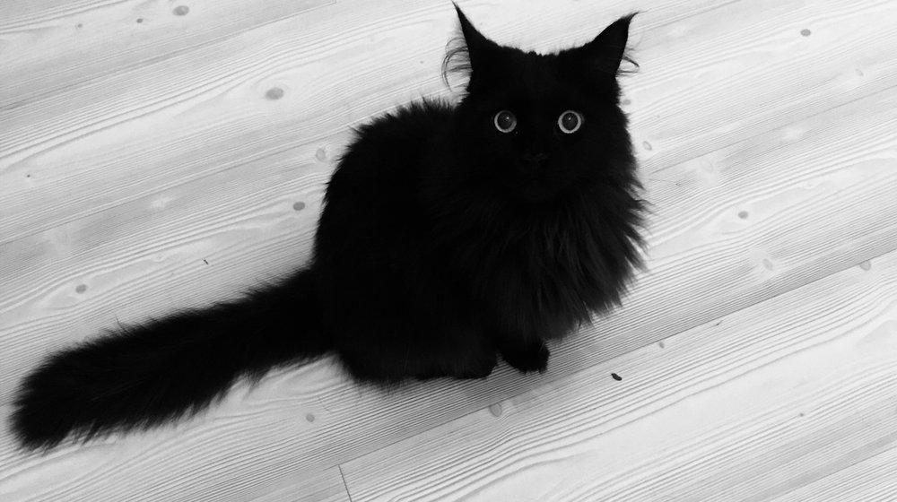 Мамина полка