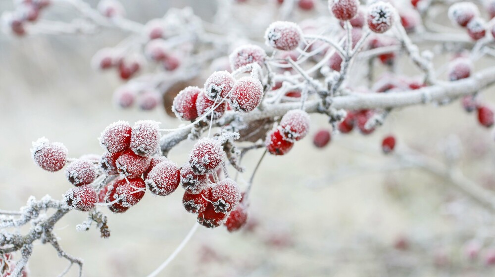 Главные новинки января в Яндекс Книгах