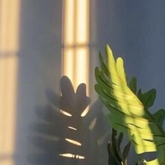 Саморазвитие