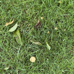 Мифы и истоии о мире хтони