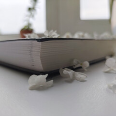 Антиутопии