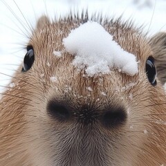 Книга на вечер