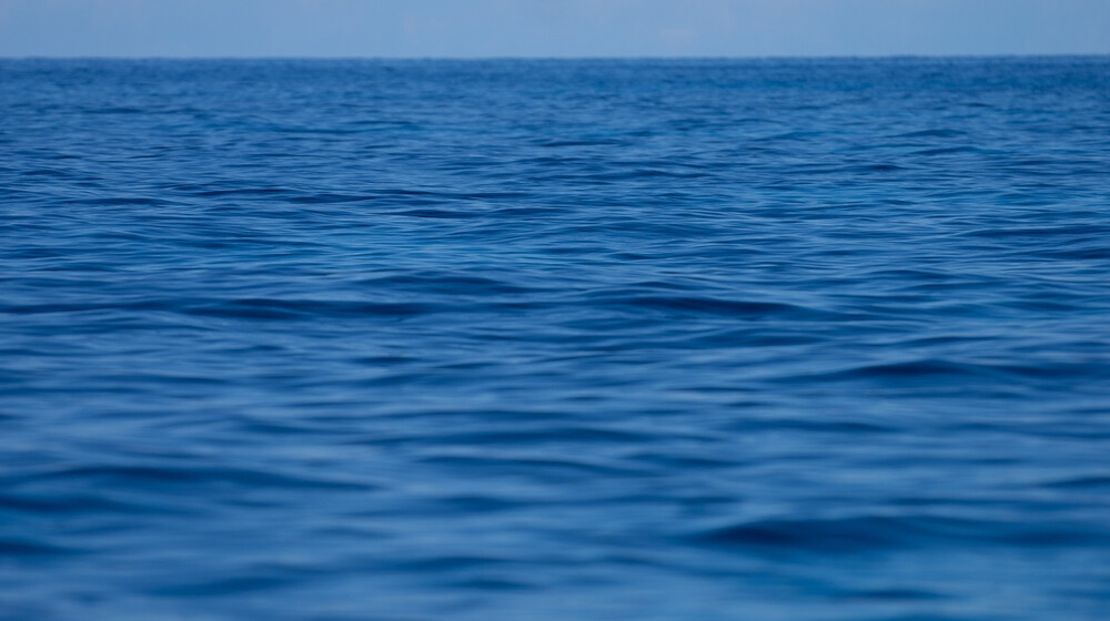 Храменков читает литературу