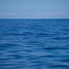 Храменков читает литературу