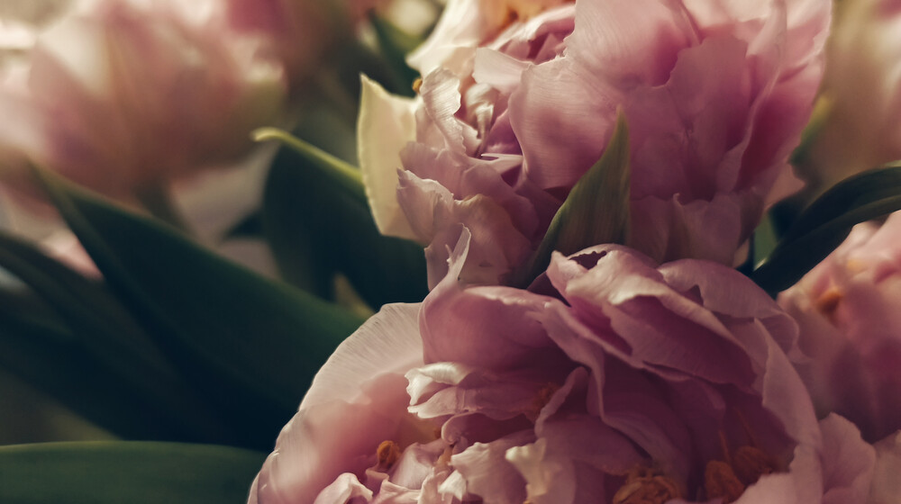 Книги к книгам