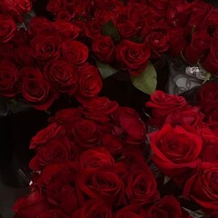 мара и морок