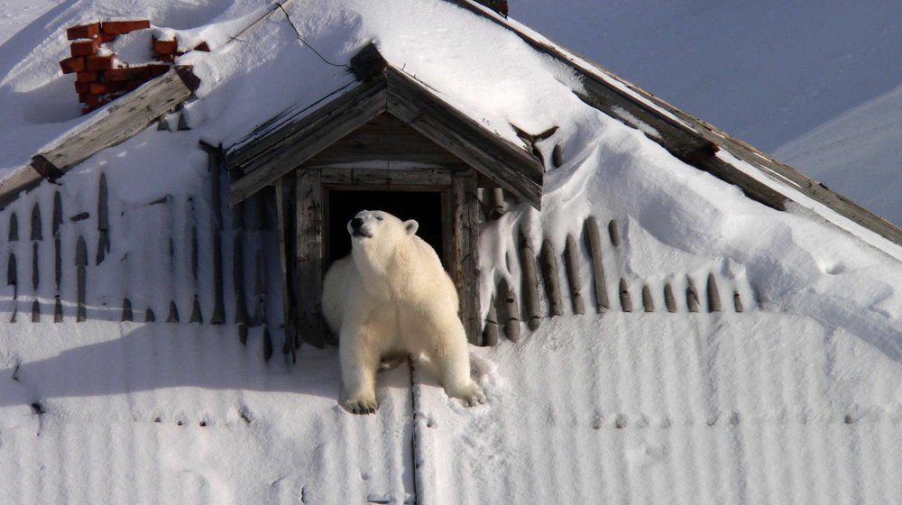 #50bookschallenge2016