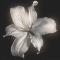 Классическая психология