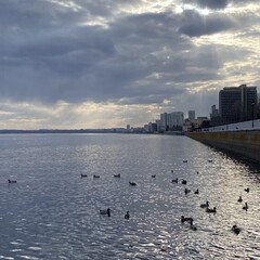 Саморазвитие  