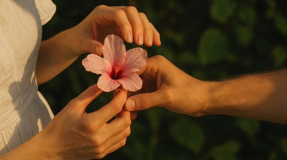 Любовные романы