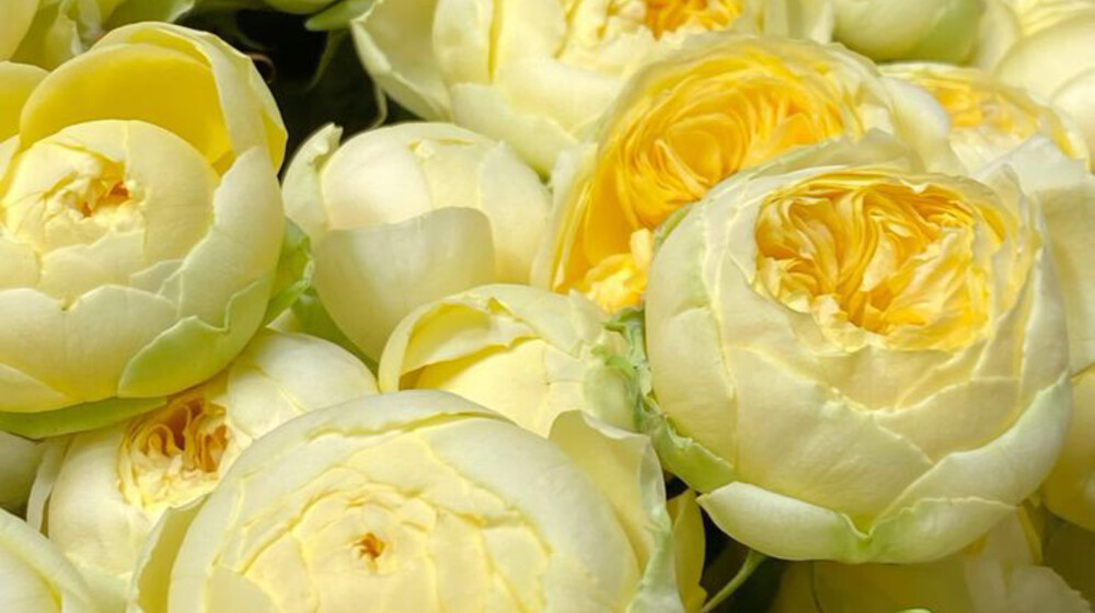 В вашей картине мира.