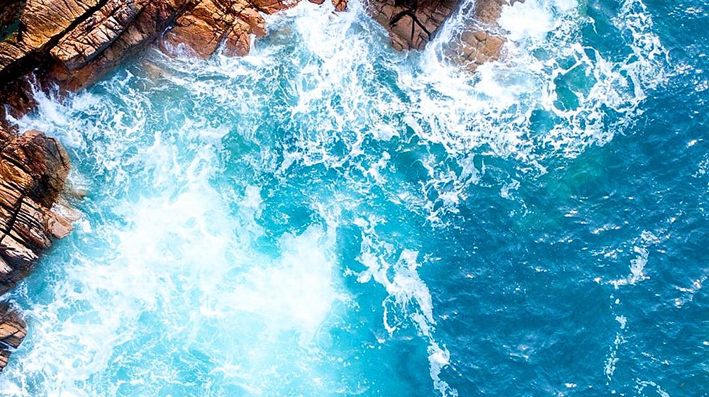 С А М О Р А З В И Т И Е