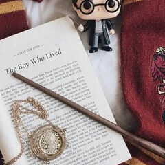 Harry Potter🪄