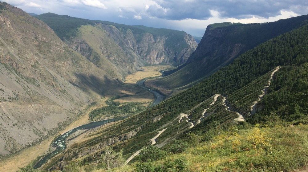 Упрямство духа