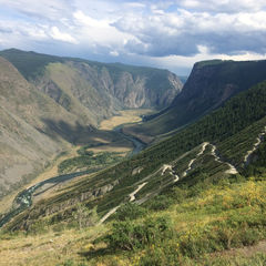 Упрямство духа