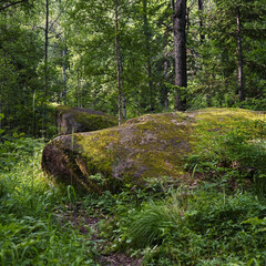 Книги про выживание