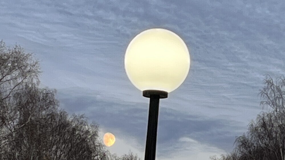 Однажды я стала принцессой 🌸👸🏻