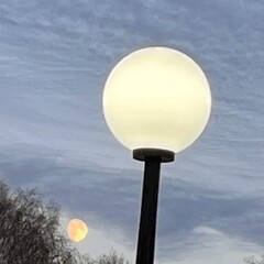 Однажды я стала принцессой 🌸👸🏻