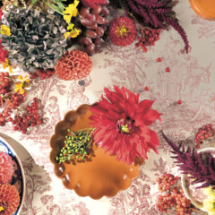 Что читать осенью: выбор редакции Seasons of life