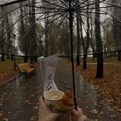 Книги на осень 