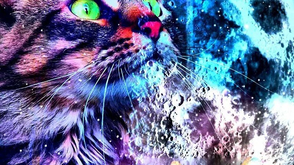 Эрин Хантер