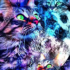 Эрин Хантер