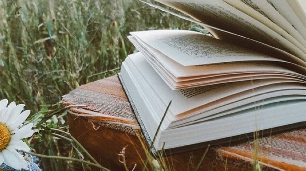 Книга на один раз